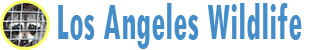 Los Angeles Wildlife